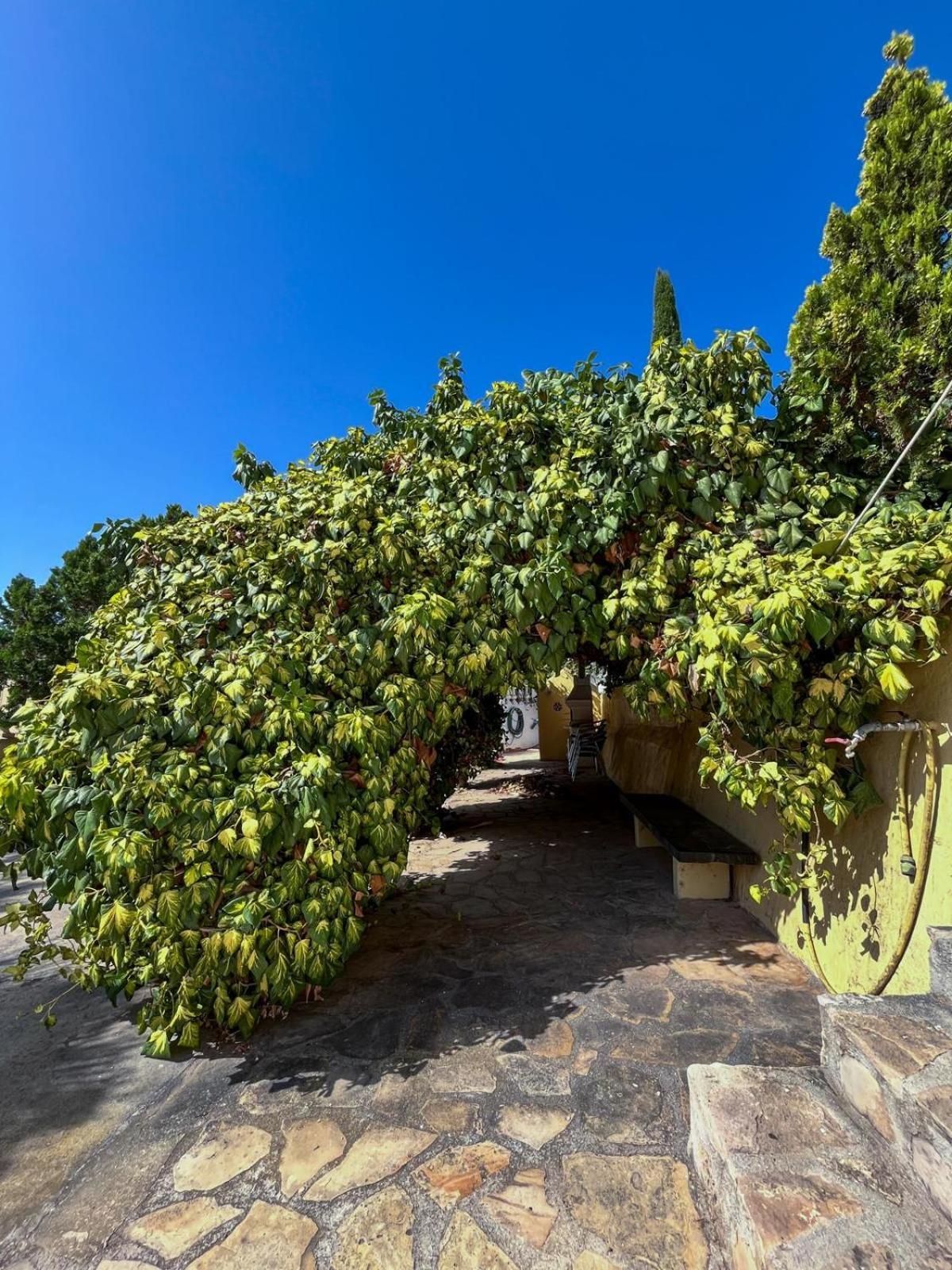 Casa Mar Benissa Calpe Lägenhet Exteriör bild