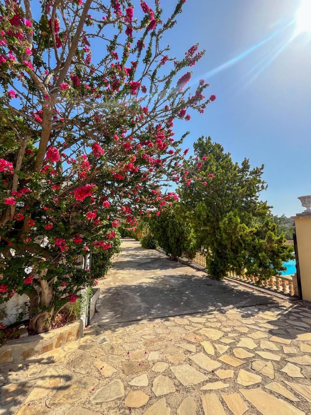 Casa Mar Benissa Calpe Lägenhet Exteriör bild